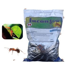 Polvo Insecticida Veneno Para Hormigas Jardín 1kg